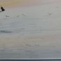 Scott Kuhnly Sailing Boat Signed Serigraph Framed