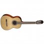 AC100-SG classical guitar 4/4, glossy, Cort
