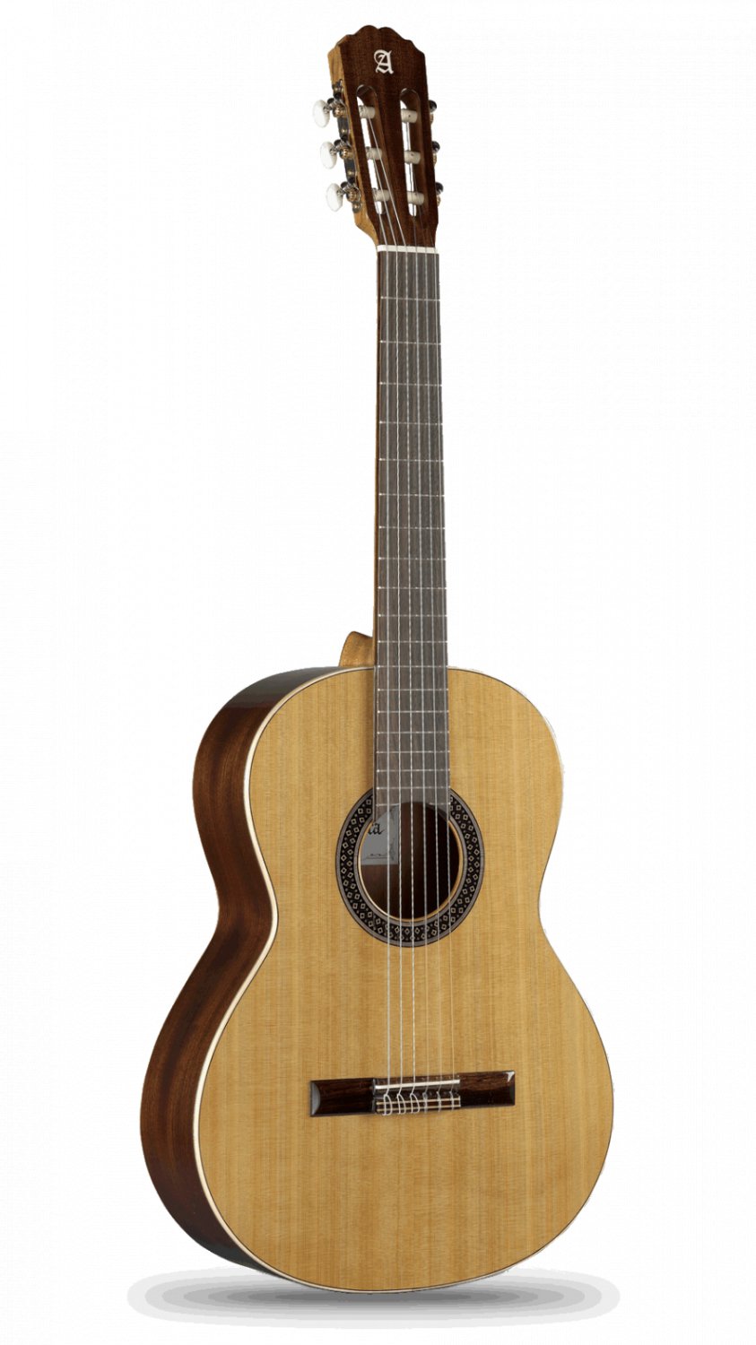 Alhambra. Classical guitar. Classical Student 1C. Solid red cedar. #802-1C