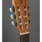 Alhambra. Student 2F Flamenco Classical guitar. Cedar, mahogany, rosewood. Spain