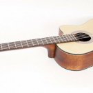 Parkwood (Cort) Electro-Acoustic Classical Guitar, Cut-Out, Solid Wood. PC110