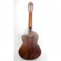 Parkwood (Cort) Electro-Acoustic Classical Guitar, Cut-Out, Solid Wood. PC110