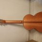 "Russian Guitar Classic" Acoustic guitar, 7-string, nylon strings. RGC Doff