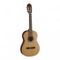 Parkwood (Cort) PC75 Classical guitar 3/4 with a cover