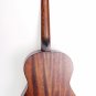 Parkwood (Cort) PC75 Classical guitar 3/4 with a cover