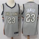 Mens, Cleveland Cavaliers 23# LeBron James grey basketball stitched jersey