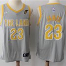 MENS  Cleveland cavaliers lebron James 23 embroidery replica the land jersey