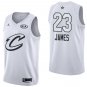 MENS LeBron James #23 Cleveland Cavaliers Swingman Jersey All Star 2018