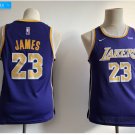 Mens KIDS/YOUTH Los Angeles Lakers 23# LeBron James Jersey Purple
