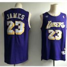 Mens Los Angeles Lakers 23# LeBron James Purple Basketball Jersey 3D