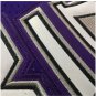 Men's Sacramento Kings #55 Jason Williams Jersey Purple Fine Embroidery