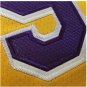 Lakers new season 9 Rajon Rondo Yellow Jersey Dense embroidery NEW