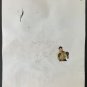 1980's The Famous Gleason's Gym, Brooklyn. NY ORIGINAL Boxing Painting Legends