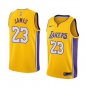 LeBron James #23 Los Angeles Lakers 2018/19 Swingman Jersey Gold - Icon Edition Size XL