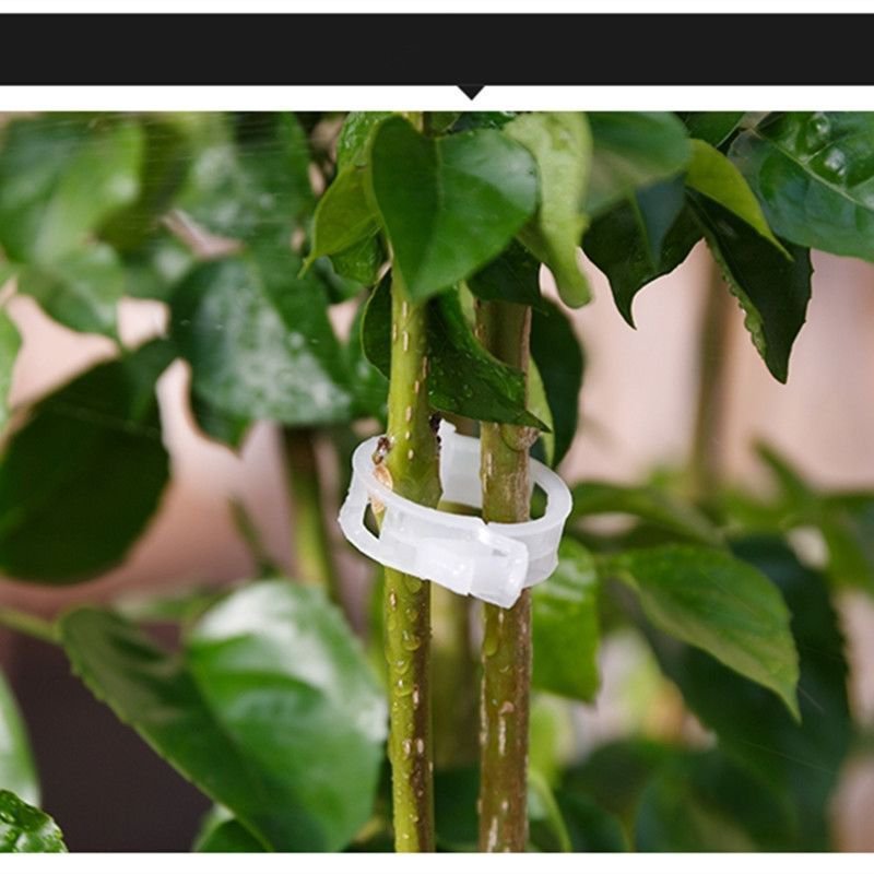 50 Trellis Tomato Clips Supports/Connects Plants/Vines Trellis/Twine/Cages
