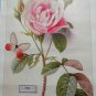finished Wall Art handmade DIY 5D partial diamond picture pink rose flower
