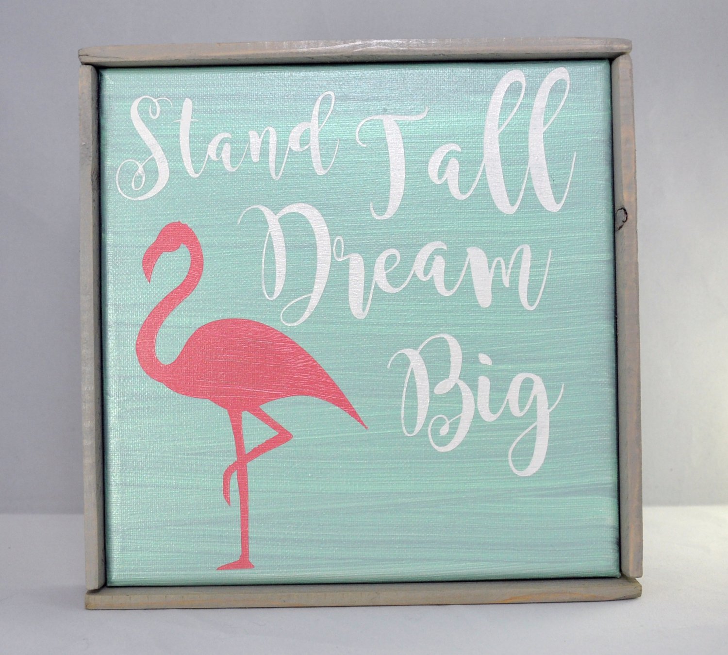 Stand Tall Dream Big