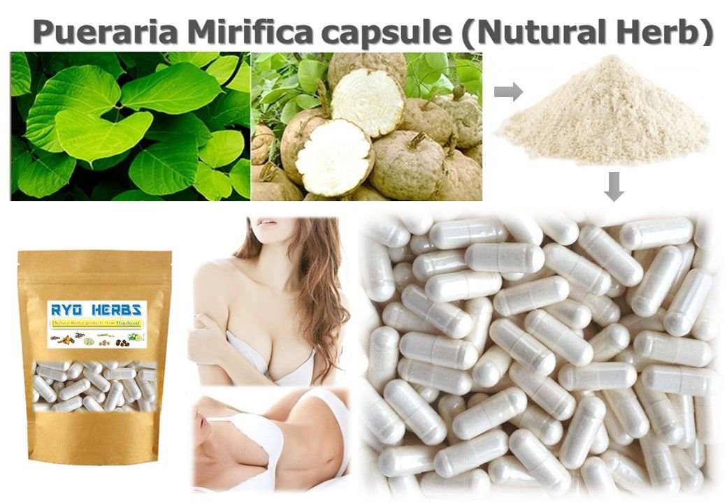 Pueraria Mirifica Where To Buy