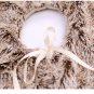 Battilo 29.5" Christmas Tree Skirt Short Plush Tree Skirts Base Floor Mat Cover