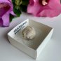 Brachiopod Shell Fossil Both Sides Fossilized Lamp Shells 100 Million Years Old