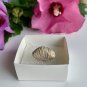 Brachiopod Shell Fossil Both Sides Fossilized Lamp Shells 100 Million Years Old