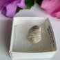 Brachiopod Shell Fossil Both Sides Fossilized Lamp Shells 100 Million Years Old