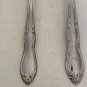 Oneida LTD Simeon L & George H Rogers Co Stainless HOMESTEAD Spoon Set 6" & 6.5"