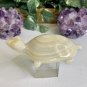 Large Natural Banded Calcite Crystal Turtle Polished Tortoise Figurine Carving