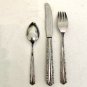 Oneida Deluxe Cherie Childs Dinner Place Setting Fork Spoon Knife Kids Glossy