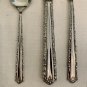 Oneida Deluxe Cherie Childs Dinner Place Setting Fork Spoon Knife Kids Glossy
