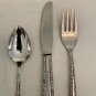 Oneida Deluxe Cherie Childs Dinner Place Setting Fork Spoon Knife Kids Glossy