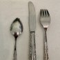 Oneida Deluxe Cherie Childs Dinner Place Setting Fork Spoon Knife Kids Glossy