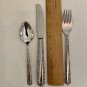 Oneida Deluxe Cherie Childs Dinner Place Setting Fork Spoon Knife Kids Glossy