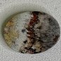 Polished Crazy Lace Agate Cabochon Lapidary Fancy Oval Picture Cab 1.5"x1.2" 10g