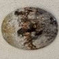 Polished Crazy Lace Agate Cabochon Lapidary Fancy Oval Picture Cab 1.5"x1.2" 10g