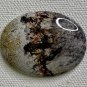 Polished Crazy Lace Agate Cabochon Lapidary Fancy Oval Picture Cab 1.5"x1.2" 10g
