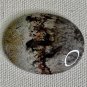 Polished Crazy Lace Agate Cabochon Lapidary Fancy Oval Picture Cab 1.5"x1.2" 10g