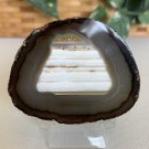 Waterline Agate Geode Slab Slice Natural Crystal Gold Druzy Pocket Rind W Stand