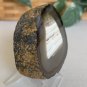 Waterline Agate Geode Slab Slice Natural Crystal Gold Druzy Pocket Rind W Stand