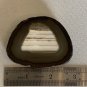 Waterline Agate Geode Slab Slice Natural Crystal Gold Druzy Pocket Rind W Stand