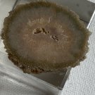Stalactite Slice Polished Crystal Display Specimen Las Torres Mine Uruguay 1.4”