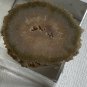 Stalactite Slice Polished Crystal Display Specimen Las Torres Mine Uruguay 1.4&acirc;��
