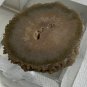 Stalactite Slice Polished Crystal Display Specimen Las Torres Mine Uruguay 1.4&acirc;��