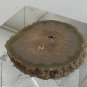 Stalactite Slice Polished Crystal Display Specimen Las Torres Mine Uruguay 1.4&acirc;��