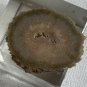 Stalactite Slice Polished Crystal Display Specimen Las Torres Mine Uruguay 1.4&acirc;��