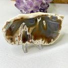 Plume Waterline Tube Agate Slab Slice Polished Stick Agates W Stand 4.8" 227g