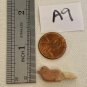 Zuni Carved Bird Fetish Bead Drilled Stone Native American Animal Carving VTG 1"