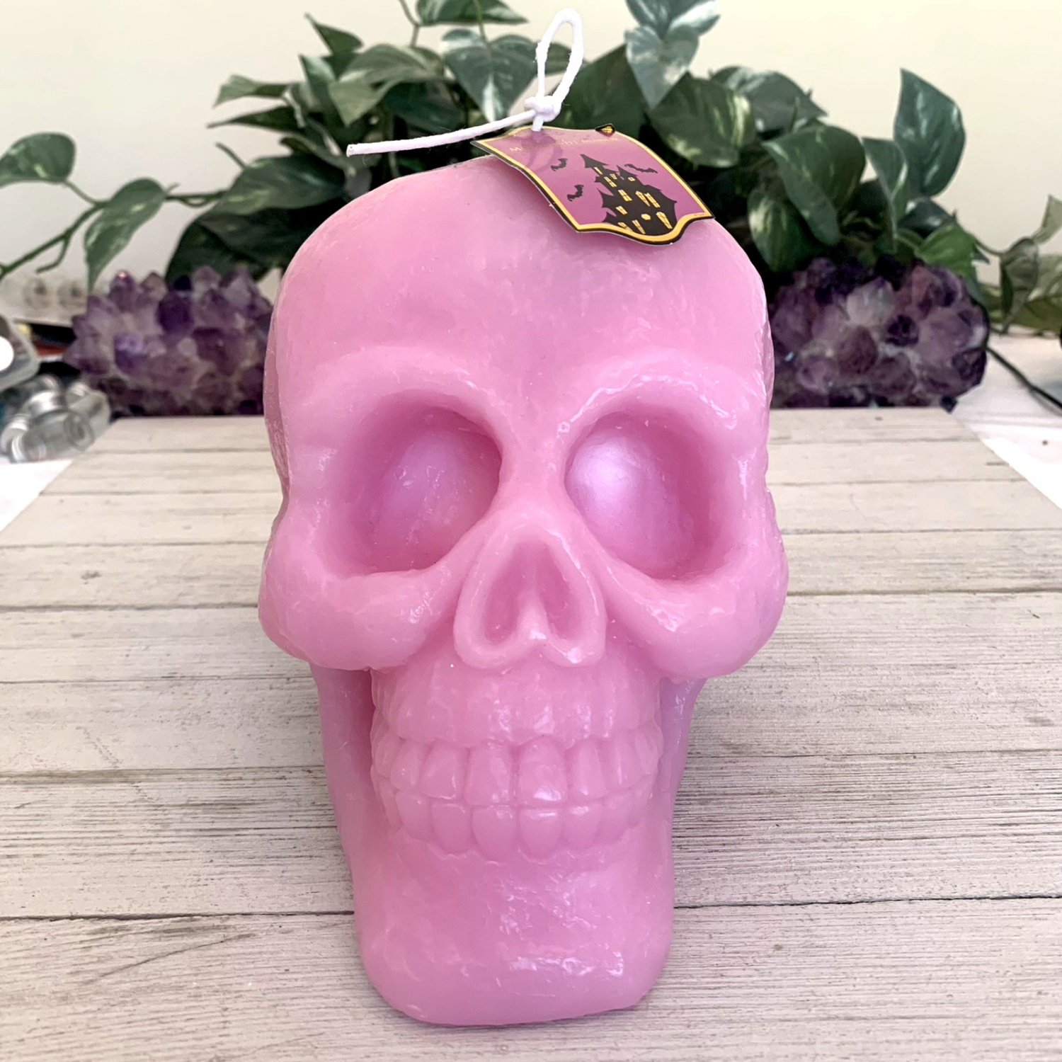 Large Pink Skull Candle Halloween 3D Non Scented Anatomical Big Head Skull 7"x6"