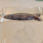 Zuni Carved Fish Fetish Bead Drilled Stone Native American Animal Carving  1.1&acirc;��