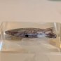 Zuni Carved Fish Fetish Bead Drilled Stone Native American Animal Carving  1.1&acirc;��